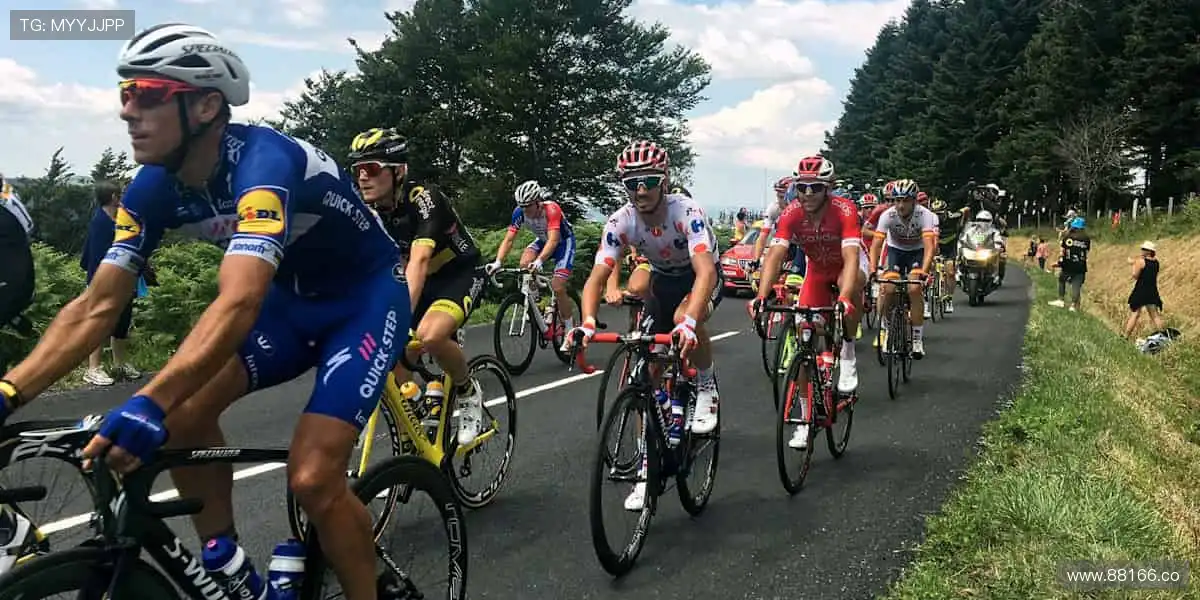 👑冠军同款,把胜利带回家!🏅